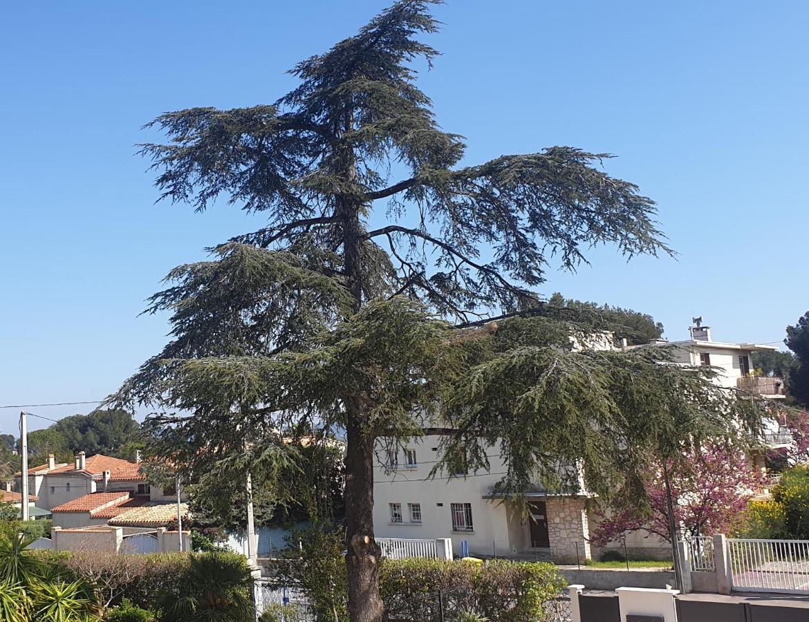 Appartement Les vagues bleues à La Ciotat Extérieur photo