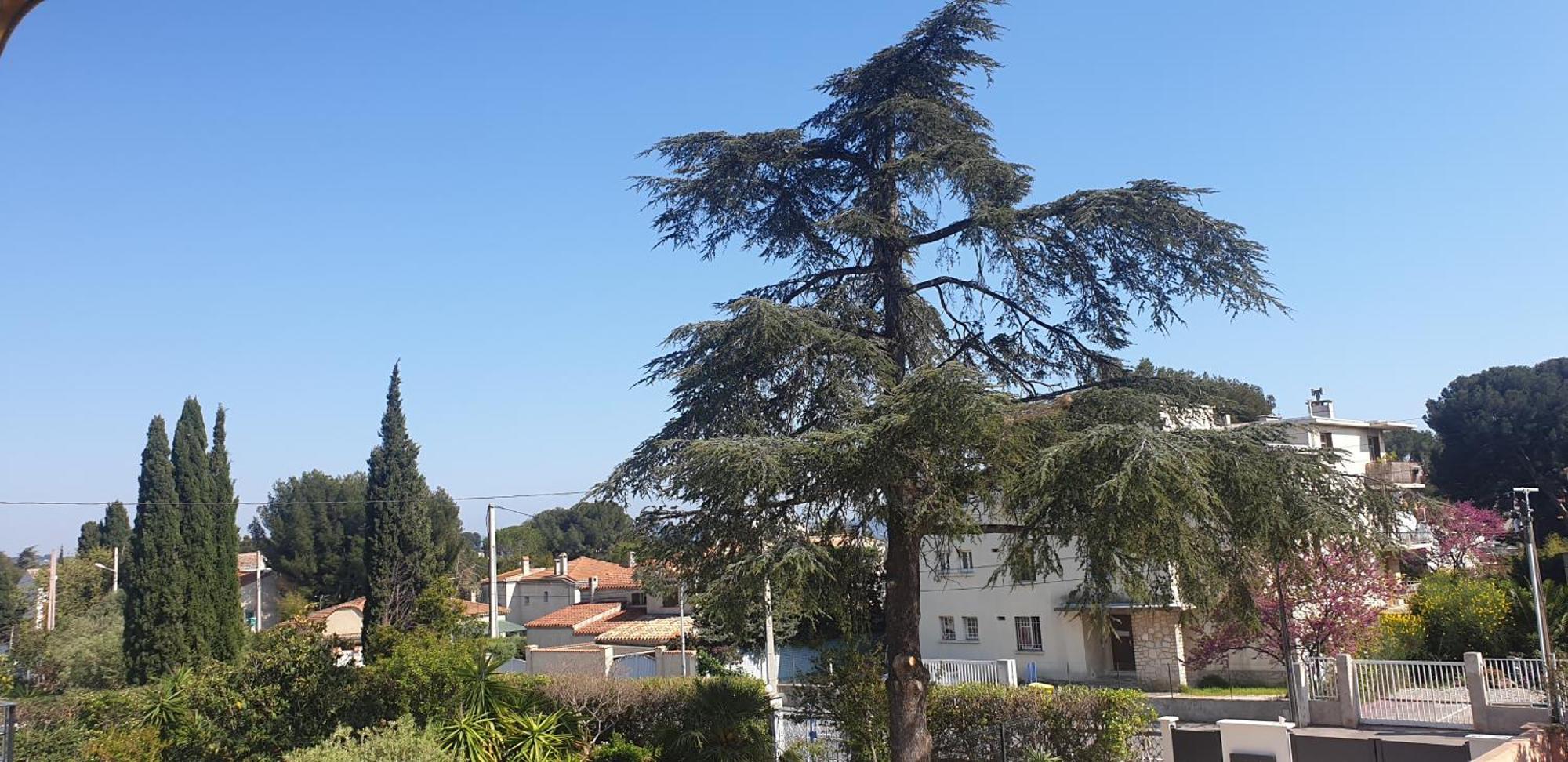 Appartement Les vagues bleues à La Ciotat Extérieur photo